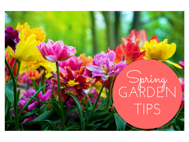 Hints \u0026 Tips for Springtime Garden Maintenance