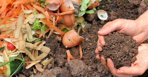 Compost is most often made of manures or decaying plant matter like grass clippings