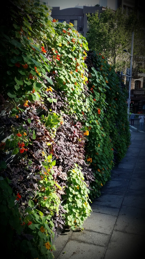 One of the most fundamental ways you can get the most out of your backyard garden is to have a sensible and effective garden design One of the most fundamental ways you can get the most out of your backyard garden is to have a sensible and effective garden design