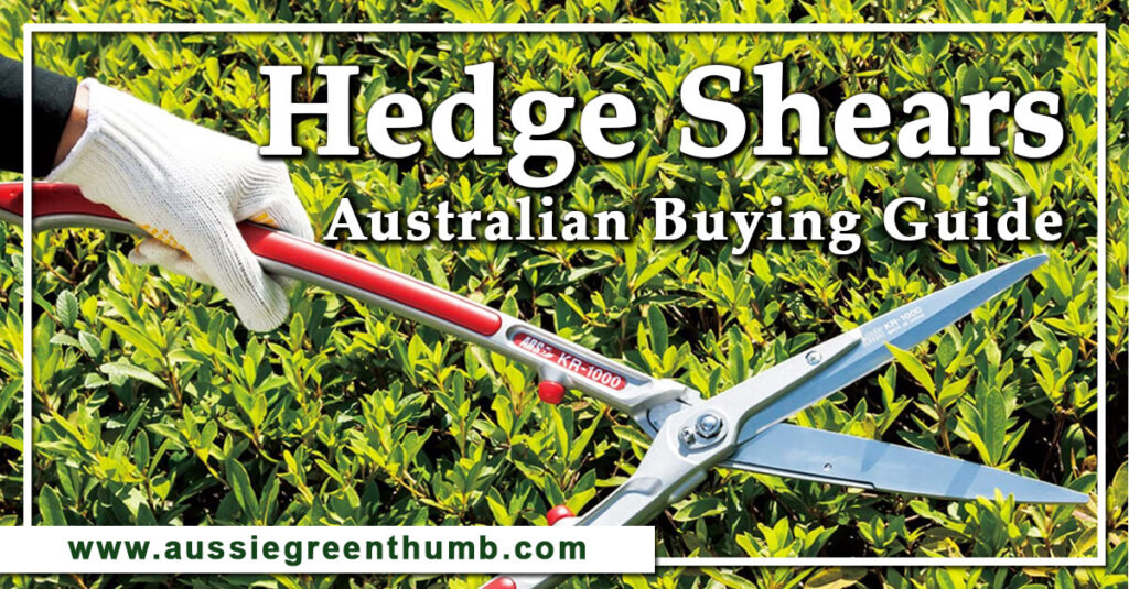 Best Hedge Shears