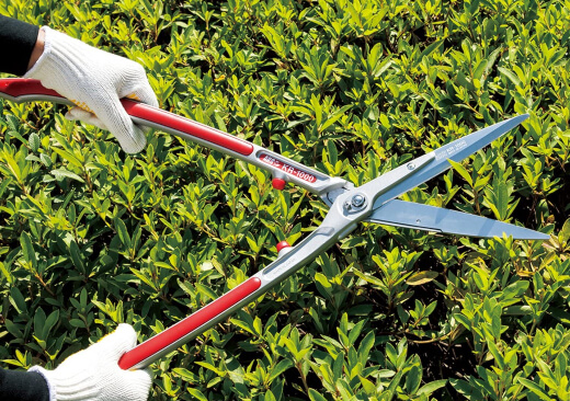 Different Types of Hedge Shears