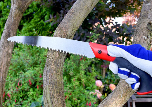 How to Use a Pruning Saw