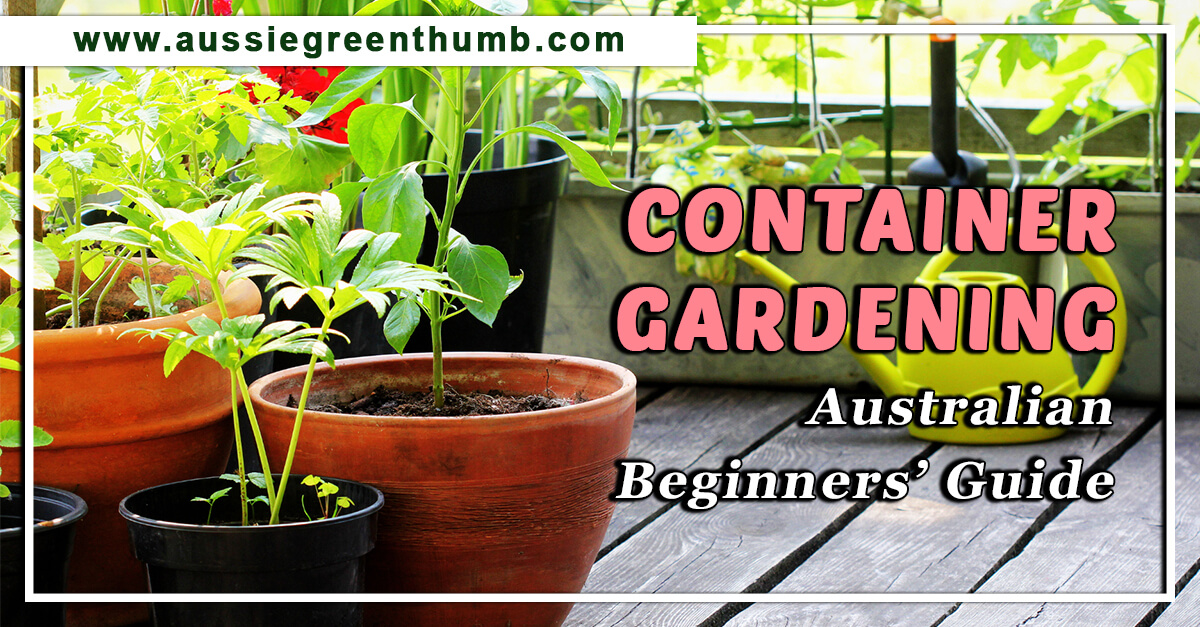 Container Gardening: Australian Beginners’ Guide