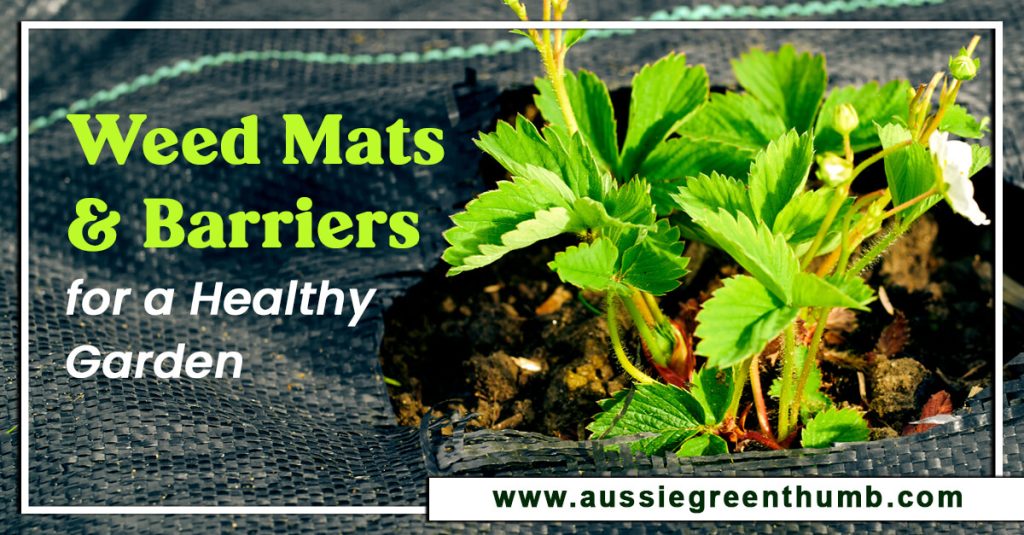 Weed Mats and Barriers for a Healthy Garden