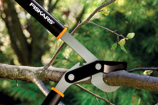 Fiskars Loppers Product Review