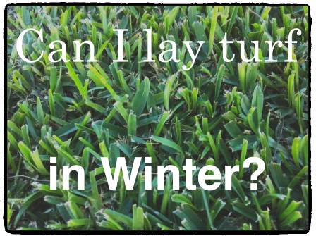 Can I lay turf in Winter