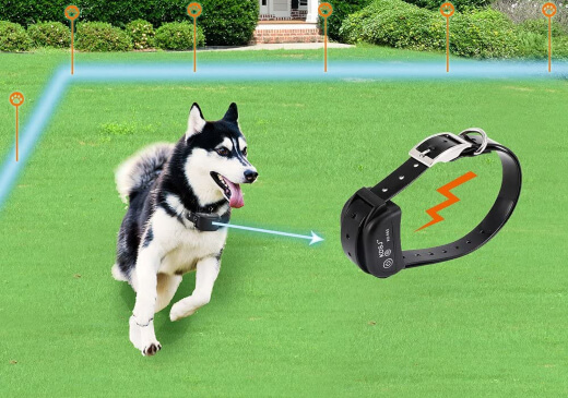 COVONO Electric invisible fence to keep dog out of garden