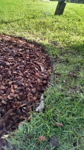 DIY mulch rings