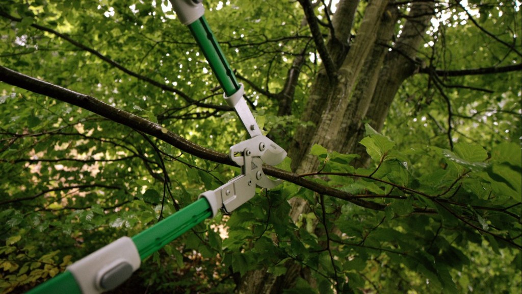 Cyclone Loppers and Shears Product review AGT