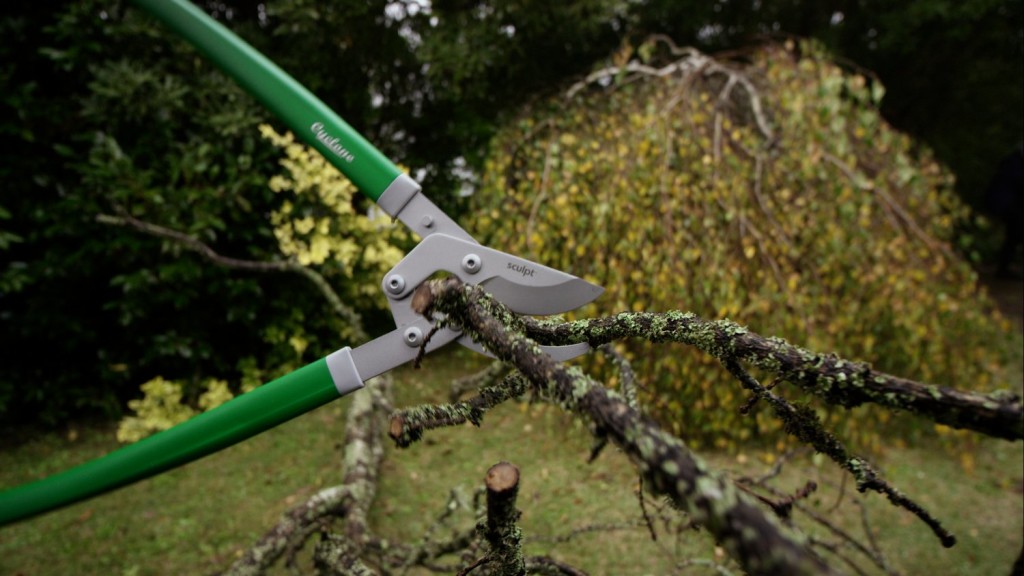 Cyclone Loppers and Shears Product review AGT