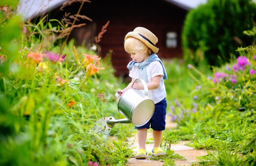 best water for plants