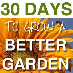 30 Days to Grow a Better Garden