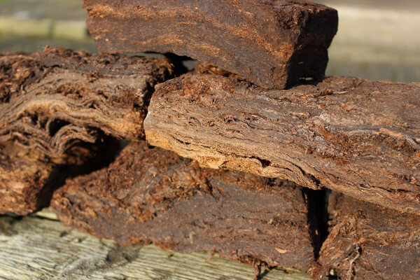 Peat helps improve the soil to make it less dry and sandy