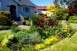 There’s a mismatch of plants,colours and textures, and the heights on the plants don’t interconnect very well.