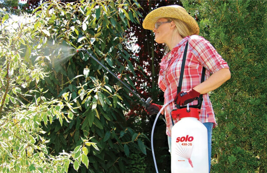 A woman using a tank garden sprayer, also known as compression garden sprayer