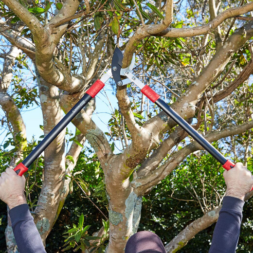 A man showing how to use garden loppers