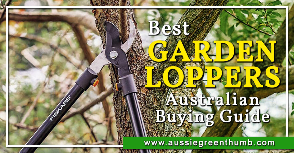 Best Garden Loppers