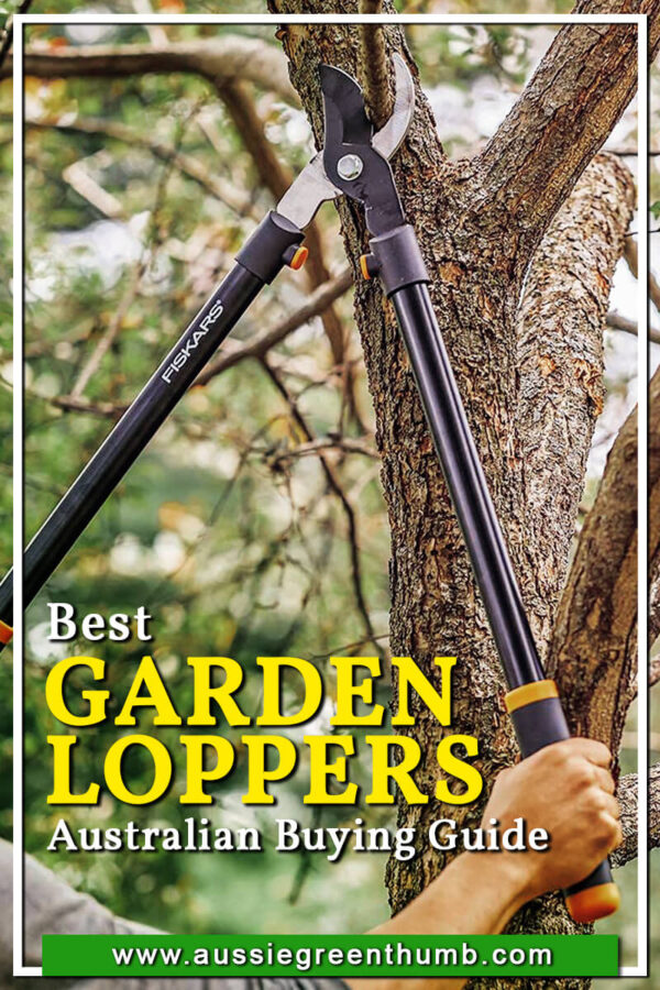 5 Best Garden Loppers for 2024 Australian Buying Guide