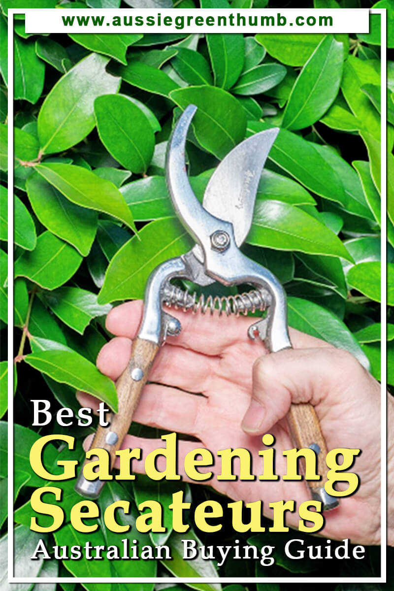 Best Gardening Secateurs Australian Buying Guide