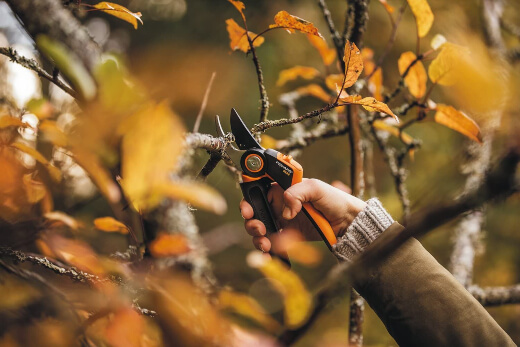 Fiskars Pruner Product Review