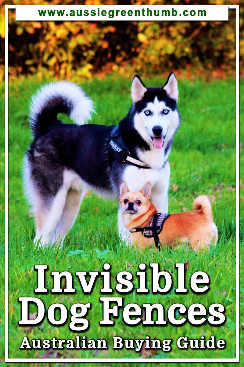 invisible fence for dogs wireless
