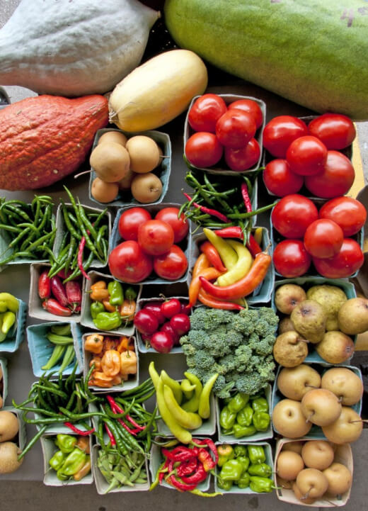 My Gardening Story - Growing Vegetables My Gardening Story - Growing Vegetables
