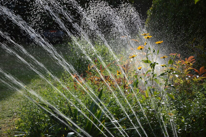 Spray Irrigation Spray Irrigation