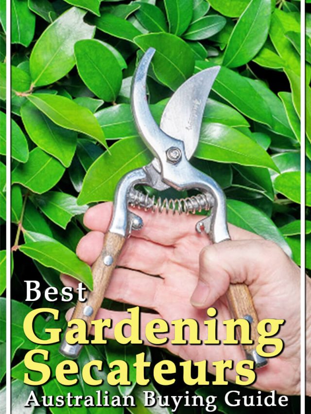 Best Gardening Secateurs Australian Buying Guide Aussie Green Thumb