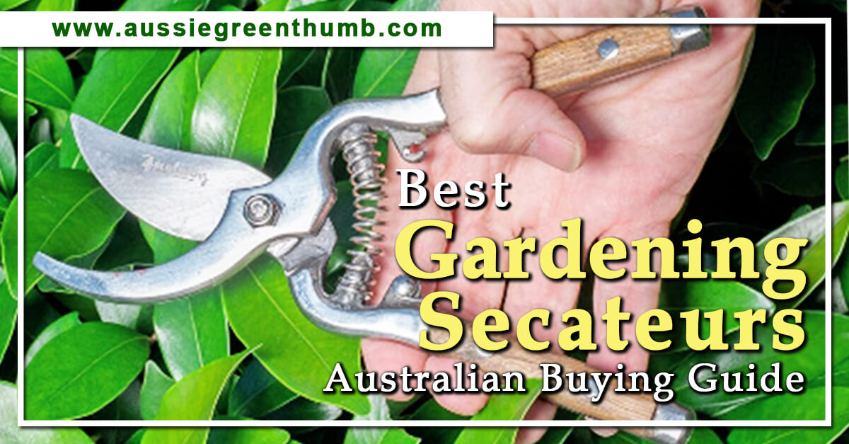 9 Best Gardening Secateurs for 2024 Australian Guide