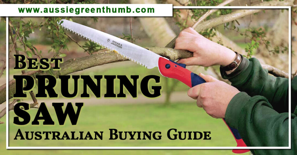 Best Pruning Saw