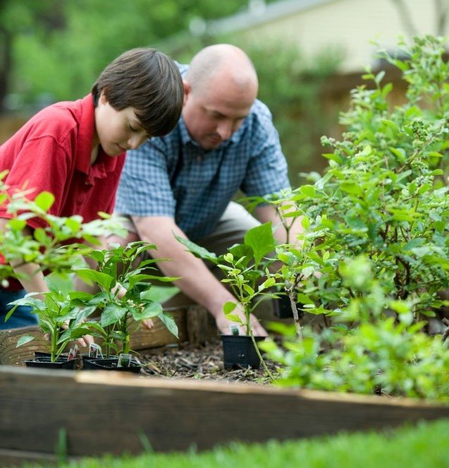 Aussie Green Thumb - Leading Australian gardening expert website