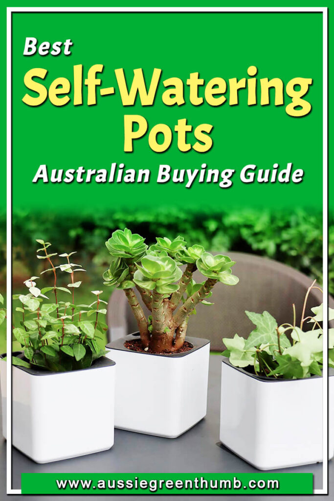 6 Best Self Watering Pots for 2025 Australian Buying Guide