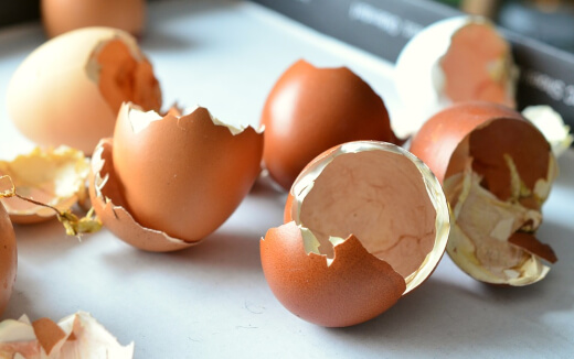 add eggshells to your soil