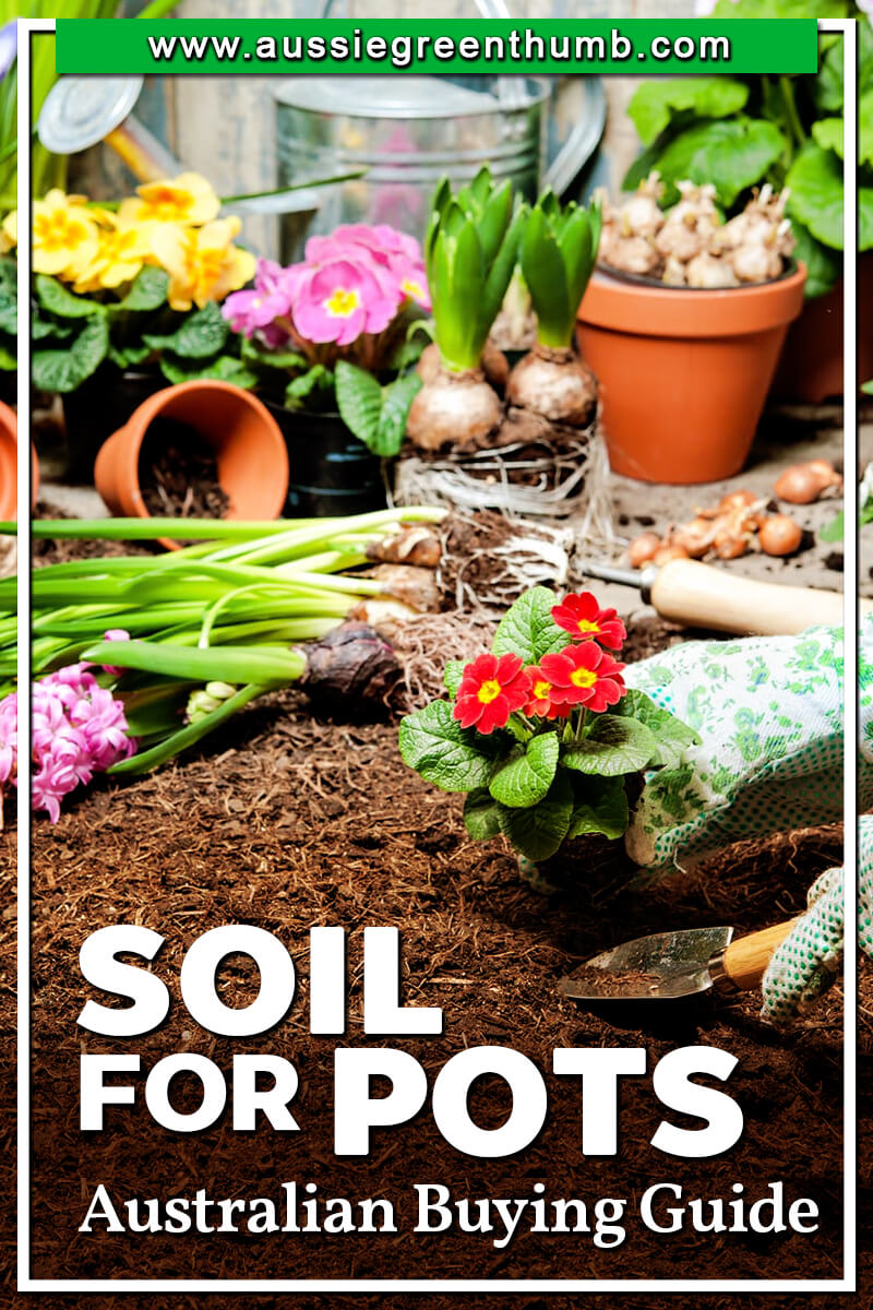 Soil For Pots Australian Buying Guide