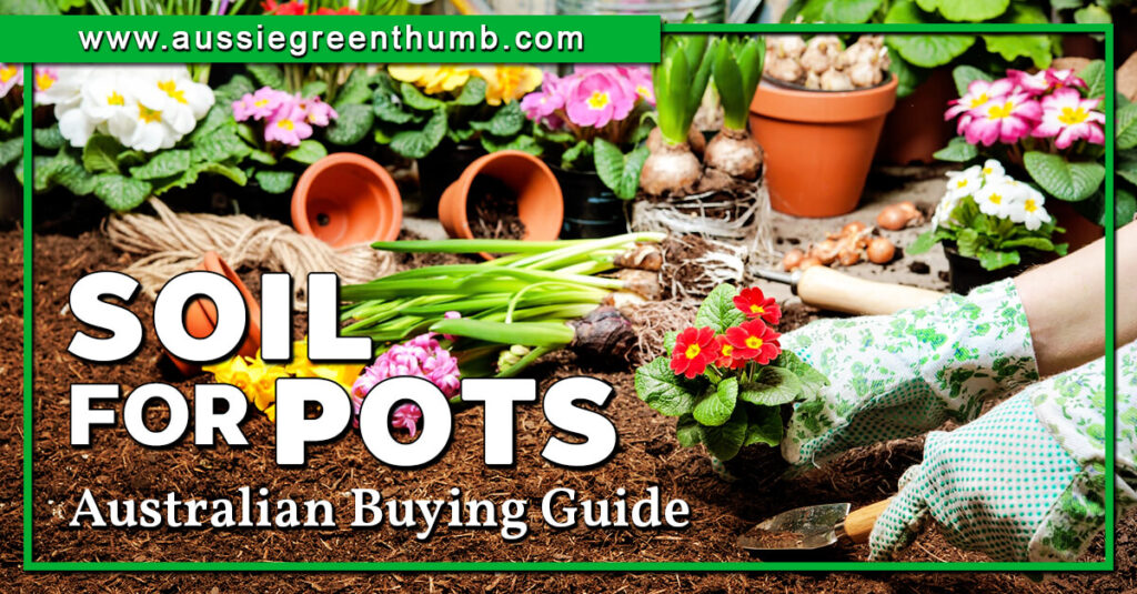 Soil For Pots Australian Buying Guide