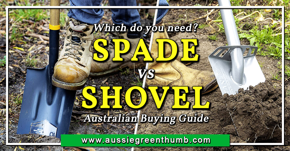 Spade vs Shovel Which do you need? Australian Guide 2024