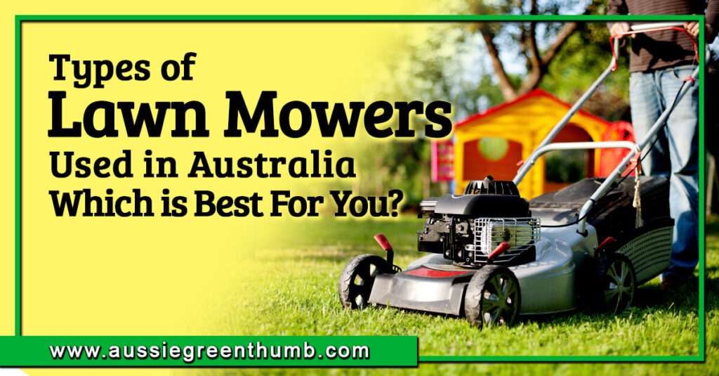 Types of Lawn Mowers Used in Australia