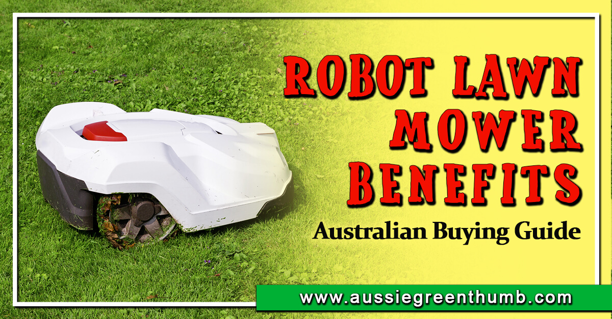 Robot Lawn Mower Benefits in Australia AGT