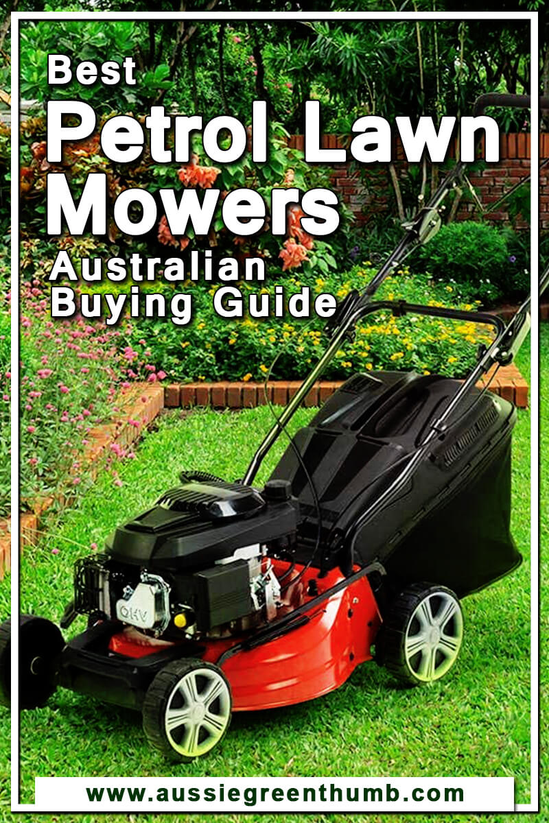 Best Petrol Lawn Mowers Australian Buying Guide