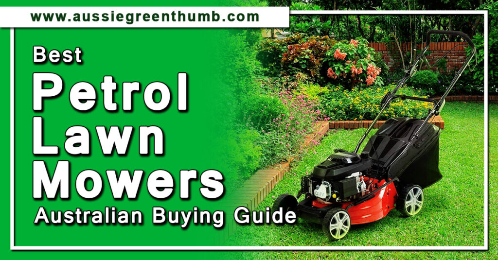 Best Petrol Lawn Mowers Australian Buying Guide