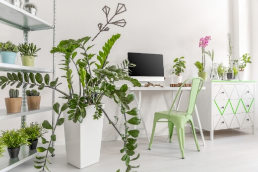 Indoor plants are a great addition to any indoor space Indoor plants are a great addition to any indoor space