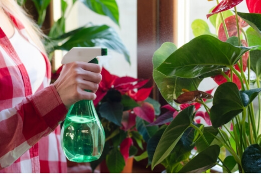 It is important you learn how much water each specific plant you has needs It is important you learn how much water each specific plant you has needs