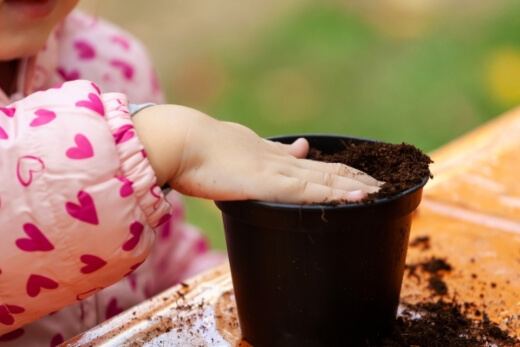 Most indoor plants will love a liquid fertiliser application at least every 6 months Most indoor plants will love a liquid fertiliser application at least every 6 months
