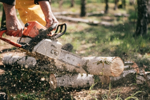 Chainsaws are powerful and versatile, and many of today’s homeowners and landscapers see them as an essential tool that every serious gardening enthusiast needs