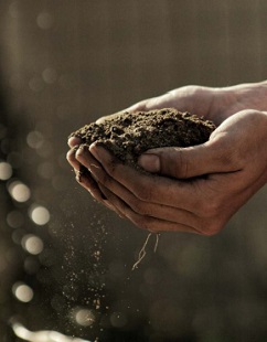 Gardening ebook by Aussie Green Thumb Chapter 3 Understanding Your Soil. Gardening ebook by Aussie Green Thumb Chapter 3 Understanding Your Soil.