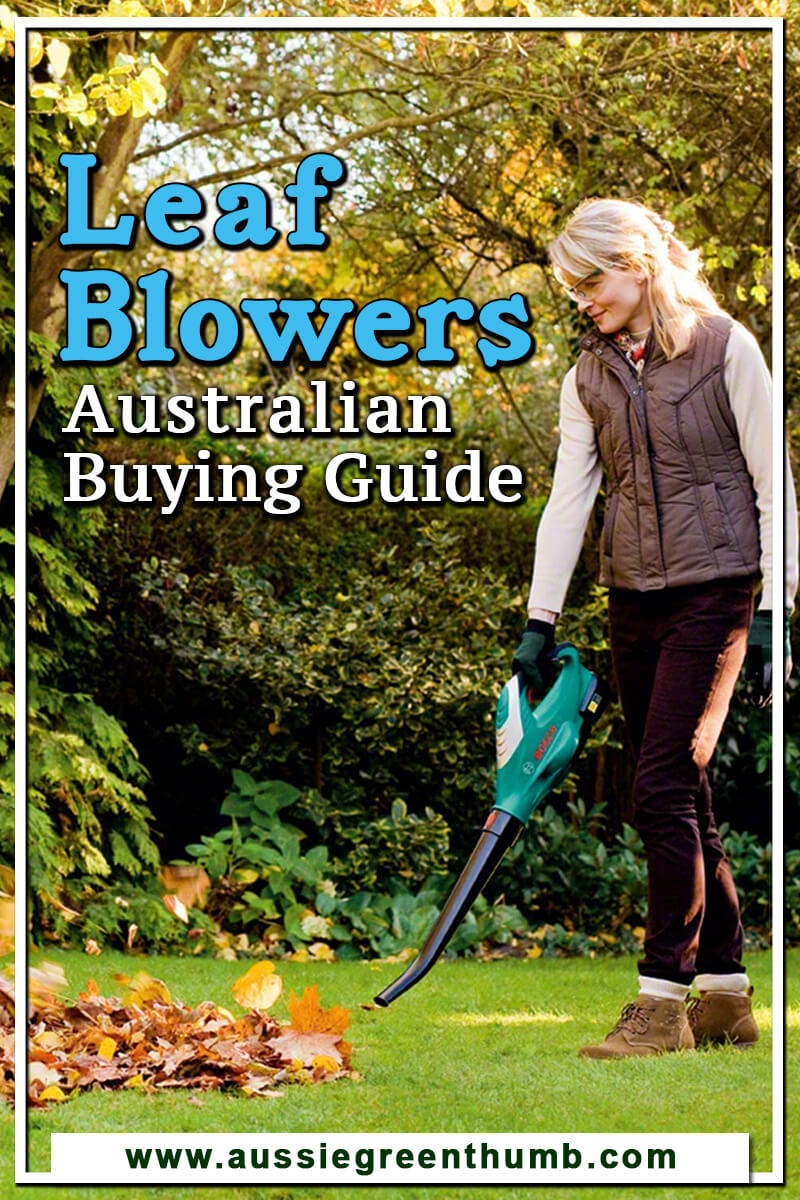 10 Best Leaf Blowers Australian Buying Guide