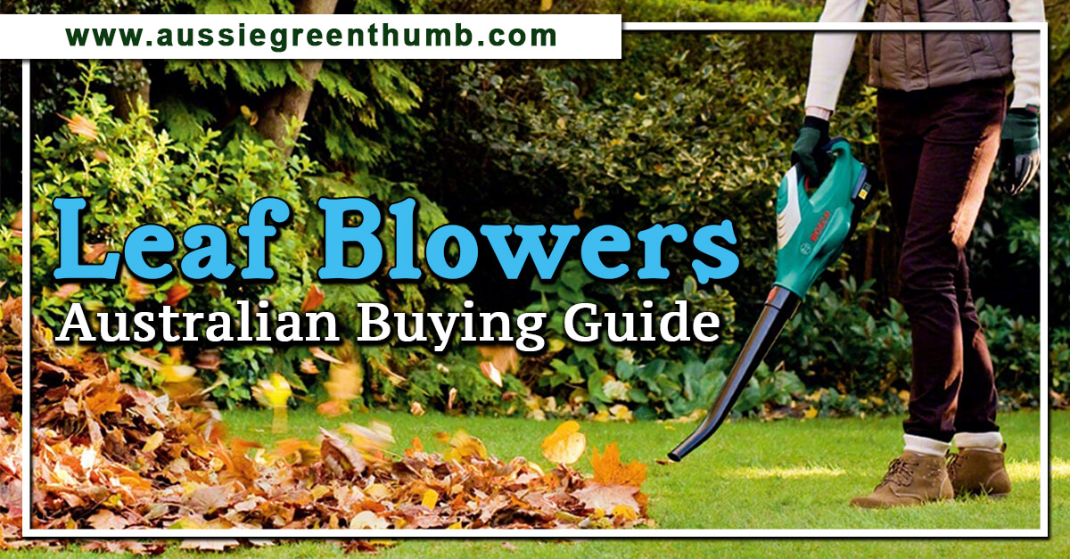 9 Best Leaf Blowers Australian Buying Guide 2024 AGT