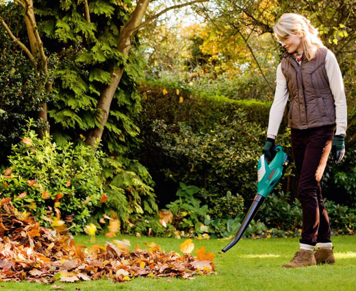 Best Leaf Blowers for 2021