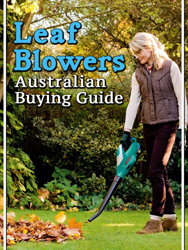 Best Leaf Blowers Australian Buying Guide 2022 Aussie Green Thumb