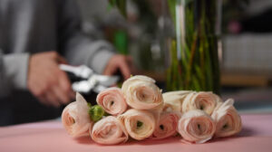 What are Ranunculus?